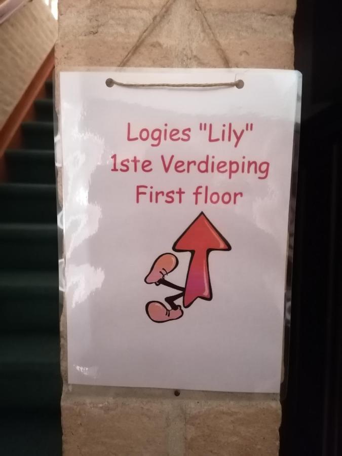 Logies Lily Lägenhet Oudenburg Exteriör bild